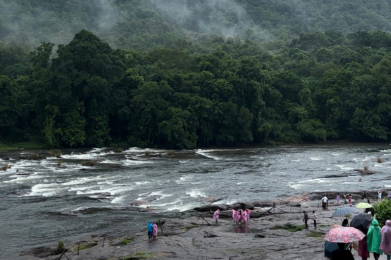 Depuis Kochi : Excursion d&#039;une journée aux chutes d&#039;eau d&#039;Athirappilly avec transferts