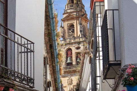 Córdoba: Old Town & Alcázar Private Tour + Light Show