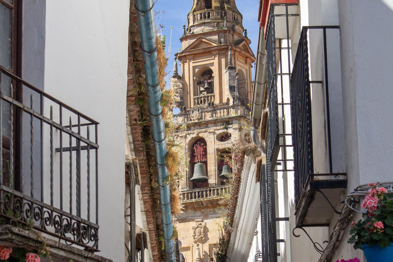 Córdoba: Old Town & Alcázar Private Tour + Light Show