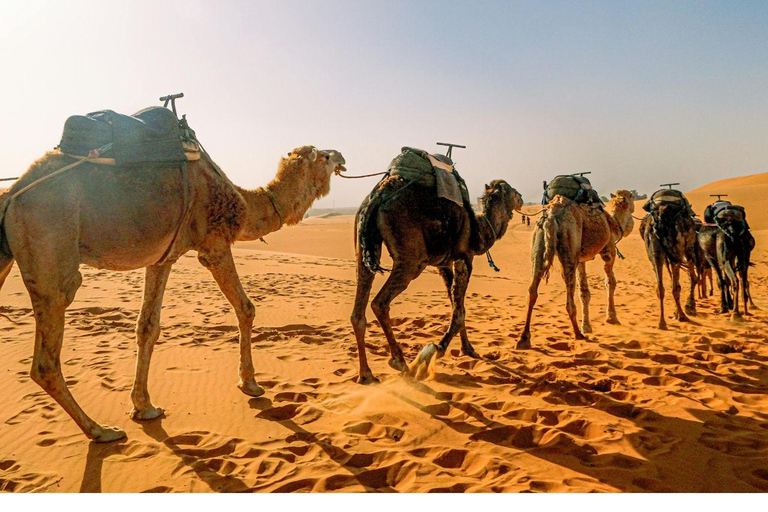 Jodhpur & Jaisalmer: Multi-Day Tour with Music Workshops