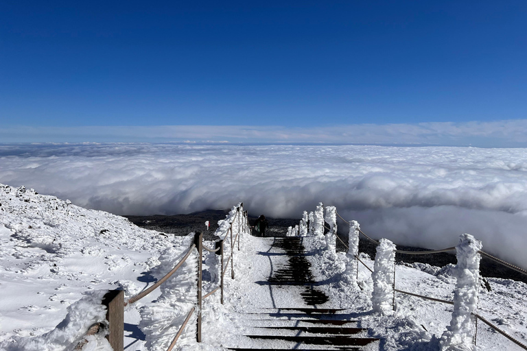 Jeju eiland: Privétour met gids