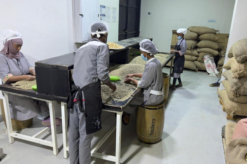 Addis Ababa: Coffee Culture Tour with Market & Roastery Private Addis offee Tour with Roasting, Cupping & Market …