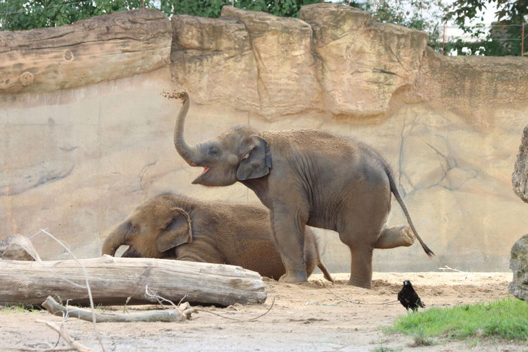 Zoo w Lipsku: Bilet wstępu