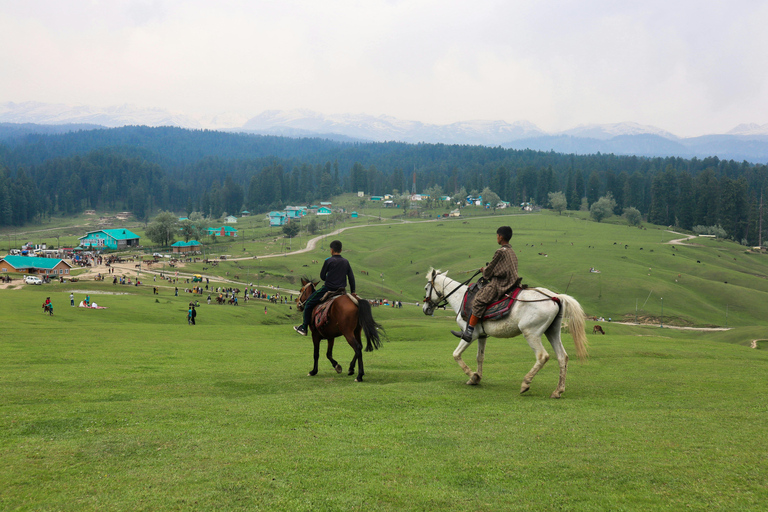 Ringberg Castle: Royalty Horseback Riding Experience