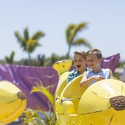 Sea World Entry Ticket with Rides and Shows