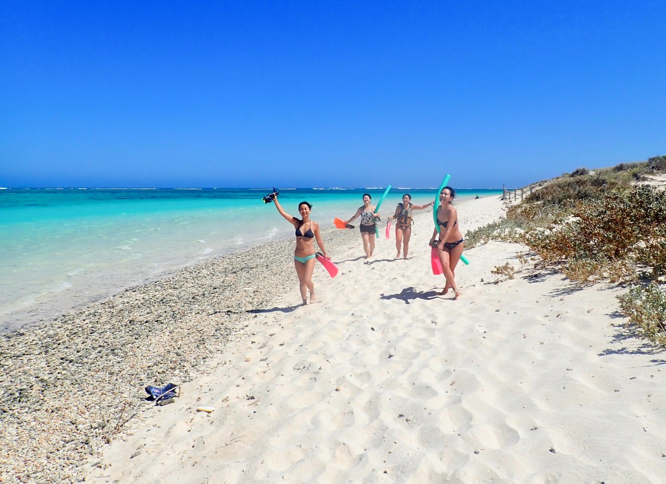 Exmouth: Guidet snorkeleventyr på Ningaloo Reef