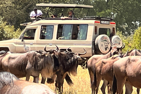 Arusha : safari de 7 jours à Tarangire, dans le Serengeti et au Ngorongoro
