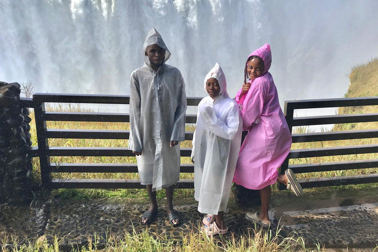 Livingstone: Rhino Walk, Victoria Falls &Mukuni Village Tour