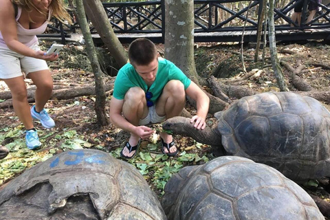 Zanzibar: Prison Island Tour with Giant Tortoises &Boat Ride Stone Town Pick-up, Prison Island Tax $22 Not Included