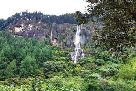 Ella :- Trasferimento privato in TukTuk alle cascate di Babarakanda