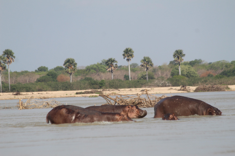 Safari de pesca inesquecível de 3 dias em Selous GR /Nyerere NP.