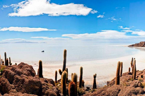 Depuis Uyuni : 3 jours de visite des salines d&#039;Uyuni et de la Laguna Colorada