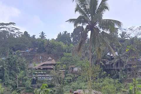 Tanah lot, tempio del lago Beratan, terrazza di riso di JatiluwihTour di Bedugul