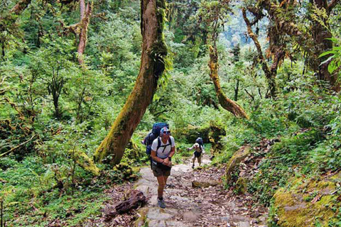 Caminhada curta de 3 dias/2 noites de Katmandu a NagarkotCaminhada curta em Katmandu