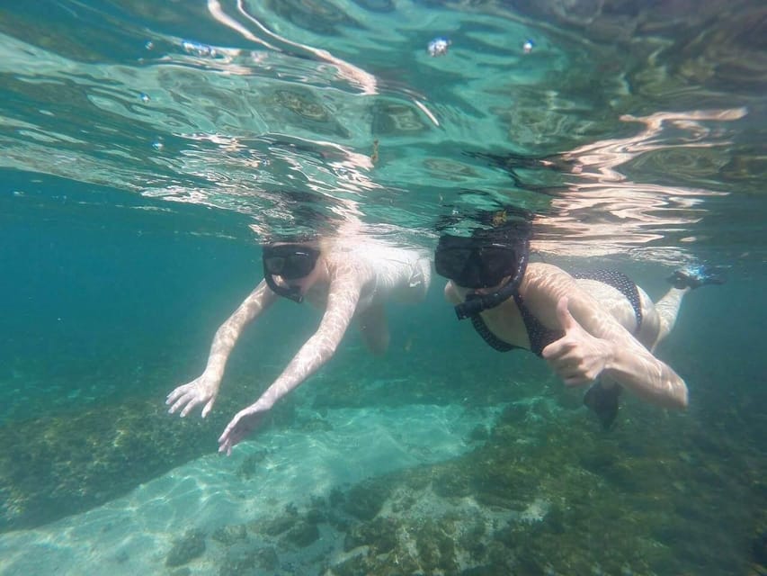 Excursiones De Snorkel En Papagayo Getyourguide