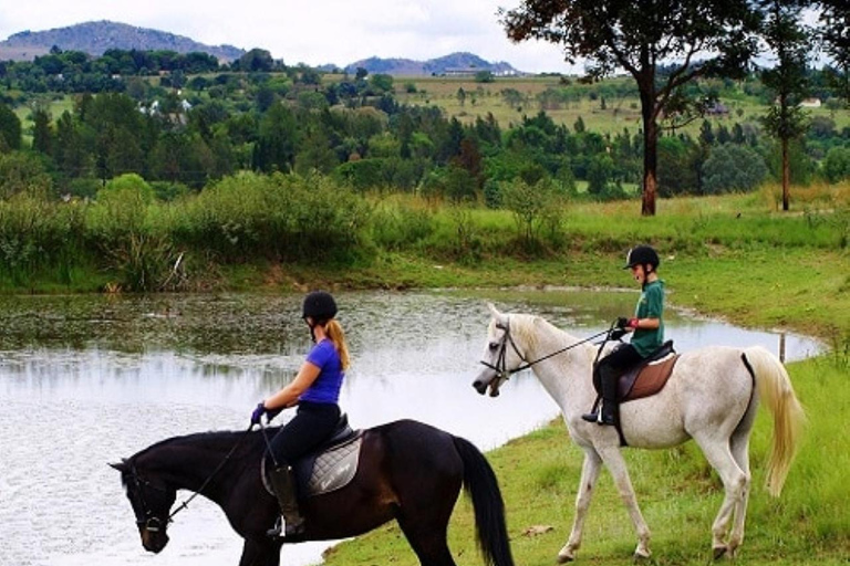 Joanesburgo Passeios a cavalo: Transporte de ida e volta incluído Lanseria