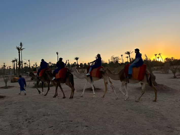 Marrakech : aventure et balade à dos de chameau dans la palmeraie - dromadaire