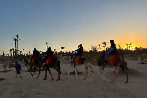 Marrakech Palmeraie Camel Ride Adventure