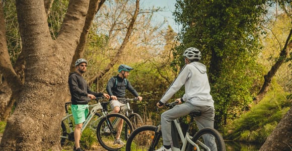 Entdecke das Herz Kretas auf einem E-Bike-Abenteuer