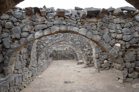 Amman: Azraq Wetland+ Lawrence Fortress + Druze Family Lunch