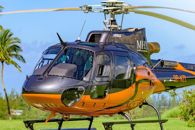 Mauricio: tour privado en helicóptero a la cascada submarinaMauricio: tour privado en helicóptero con cascada submarina