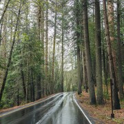 San Francisco : journée guidée au parc Yosemite