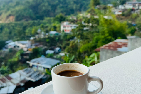 From Huatulco to Pluma Hidalgo: a gastronomic and natural immersion