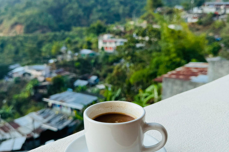 From Huatulco to Pluma Hidalgo: a gastronomic and natural immersion
