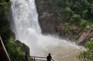 Von Bangkok aus: Tagestour zum Khao Yai-Nationalpark