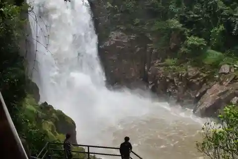 Depuis Bangkok : Excursion d'une journée au parc national de Khao Yai