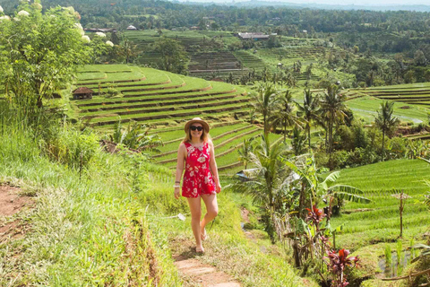 La dicha de Bedugul en Bali: Lago Beratan, Tanah Lot y Jatiluwih