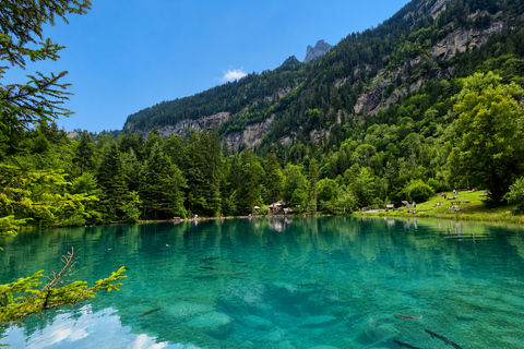 Blausee and Oeschinensee Private Day Trip By Stefanos
