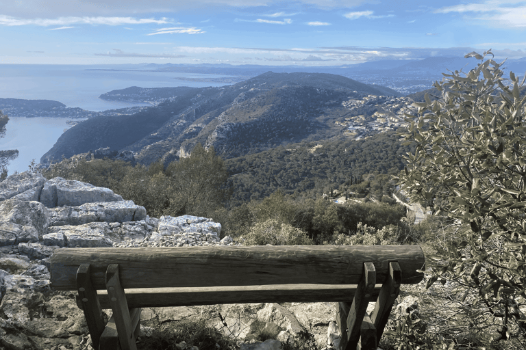 Nice: Eze and Grande Corniche Nature Park Private Tour