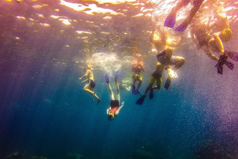 Depuis La Romana : journée de snorkeling à l’île CatalinaForfait standard