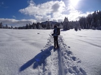 Sneeuwschoenwandeling nachtreis een alpine toevluchtsoord - Housity