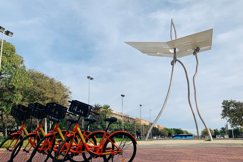 Barcelona Bike Tour: All the Highlights, Zero Stress City UA