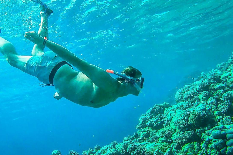 Sharm El Sheikh : Ras Mohamed et l&#039;île blanche avec déjeuner