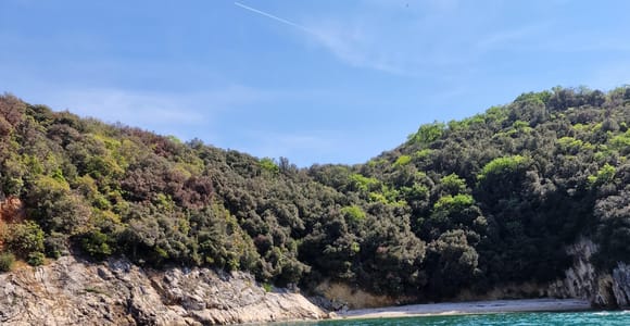 Rovinj Islands: 3-Hour Tour with Swimming and Snorkeling