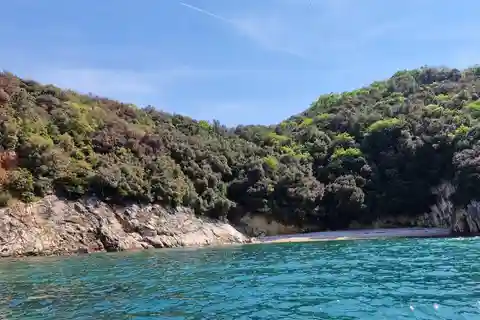 Rovinj Islands: 3-Hour Tour with Swimming and Snorkeling