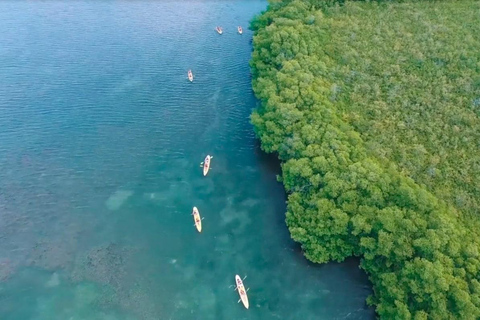 圣托马斯红树林皮划艇、徒步和浮潜 3 小时之旅圣托马斯红树林皮划艇、远足和浮潜 3 小时旅游