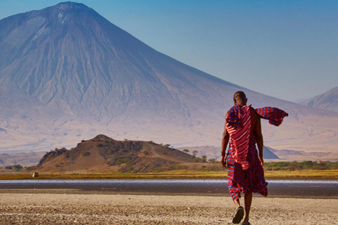 Excursão de 1 dia ao Lago Natron