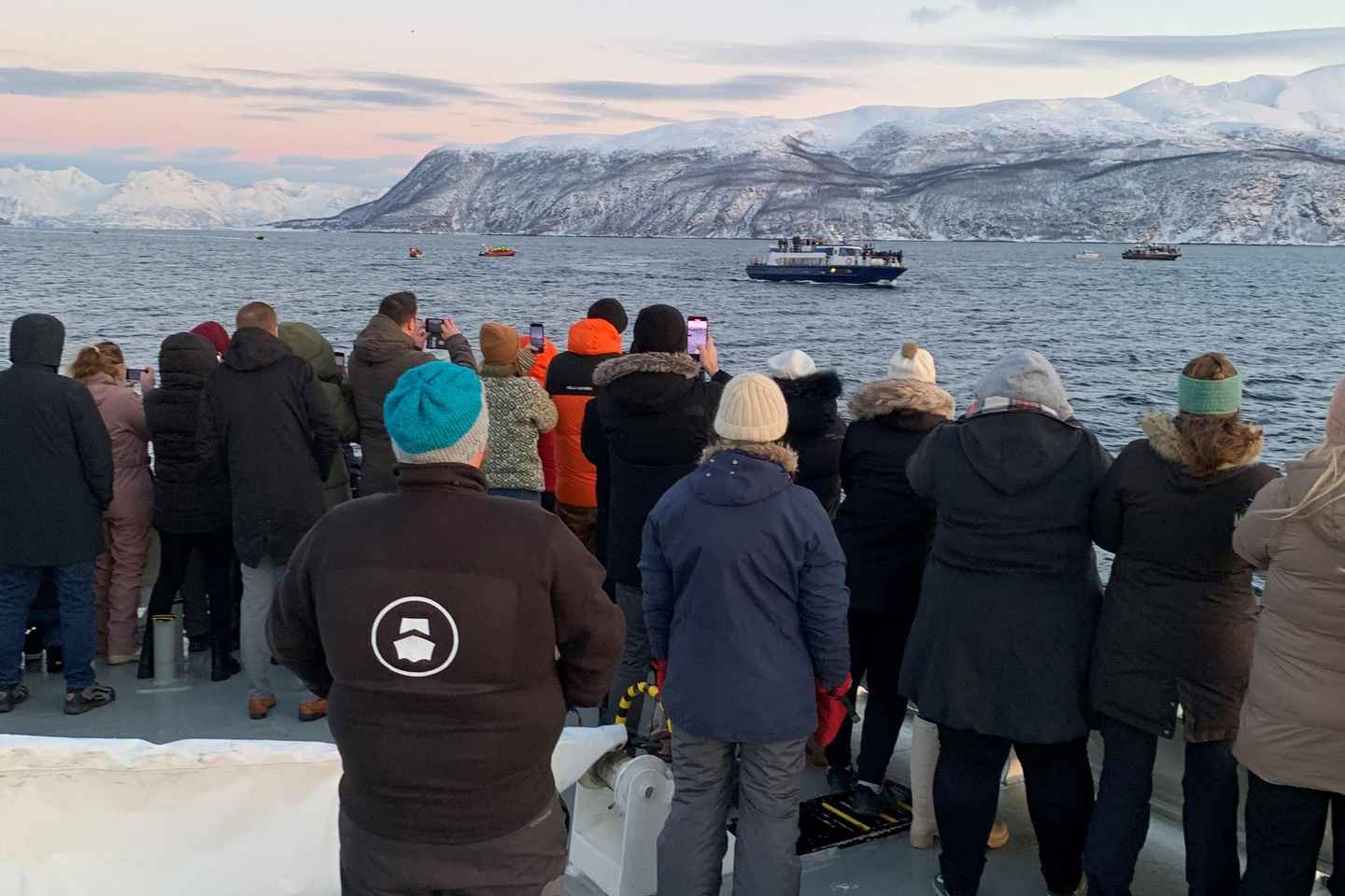 Safari de Ballenas en Tromsø con MS Keiser Wilhelm