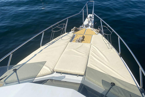 Speedboat Tour in Rio de Janeiro