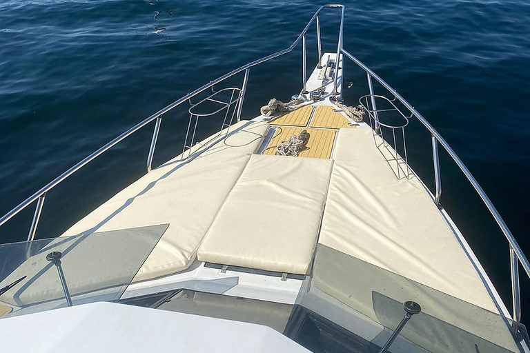 Speedboat Tour in Rio de Janeiro