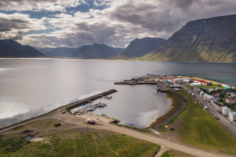 Ísafjörður: Dynjandi Waterfall & Flateyri Village Tour