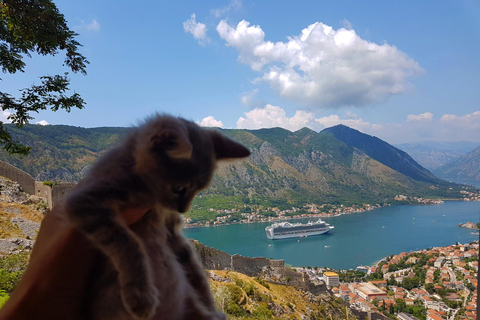 Hiking downhill Krstac to Kotor, visit San Giovanni fortress