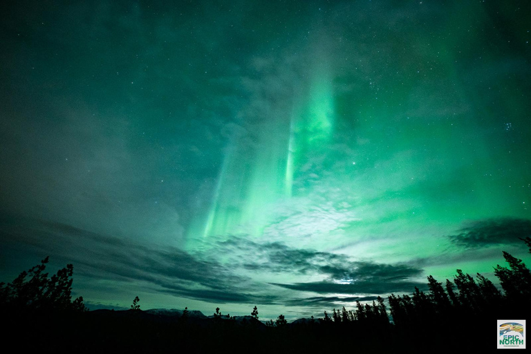 Aurora Lounge: Aurora Viewing Cabin & Bar