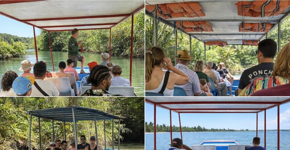 Manuel Antonio:Isla Damas Mangrove Boat Tour Wildlife Watch