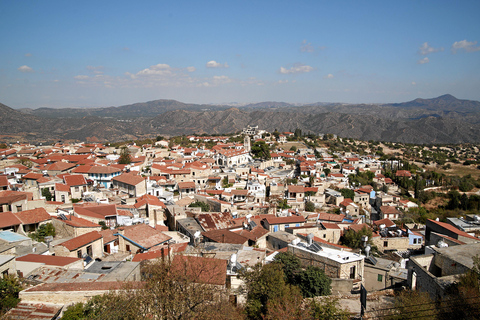From Larnaca/Ayia Napa: Lefkara Village, Donkey & Camel Park