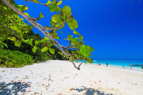 Phuket/Khaolak: Similan Islands Speed Catamaran Premium Trip